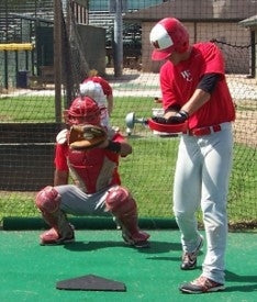 Load image into Gallery viewer, Bullpen Bat